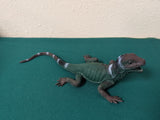 Reptile Geocache