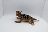 Reptile Geocache