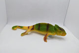 Reptile Geocache