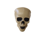 Skull Geocache