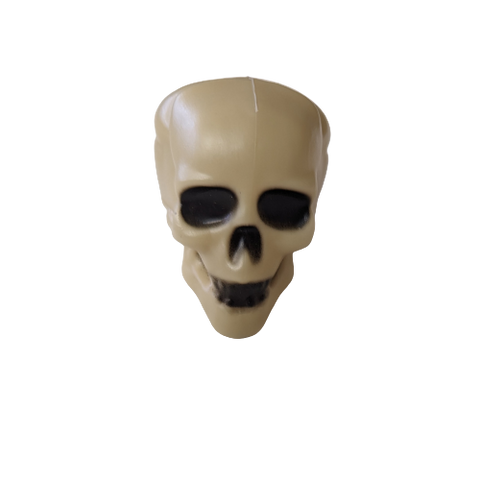 Skull Geocache