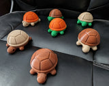 3d Turtle Geocache