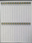 Rite in the Rain® Log Sheets