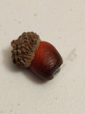Fake Acorn Geocache
