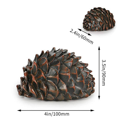 Pine Cone Cache – Space Coast Geo Store
