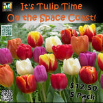 Tulip Evolution Munzee Stickers