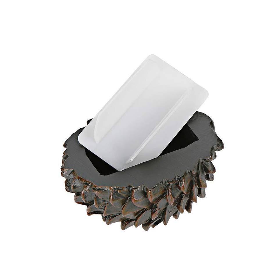 Pine Cone Cache – Space Coast Geo Store