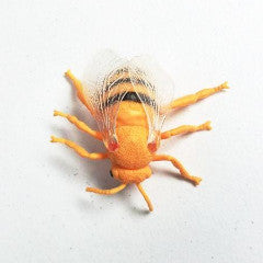 Large Bug Geocache